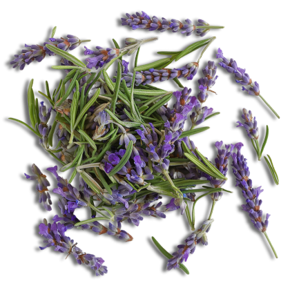 the_every-ingredient-lavender
