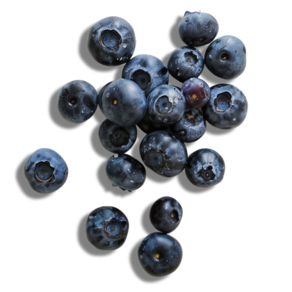 the_every-ingredient-wild_blueberries